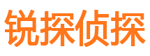 元氏婚外情调查取证